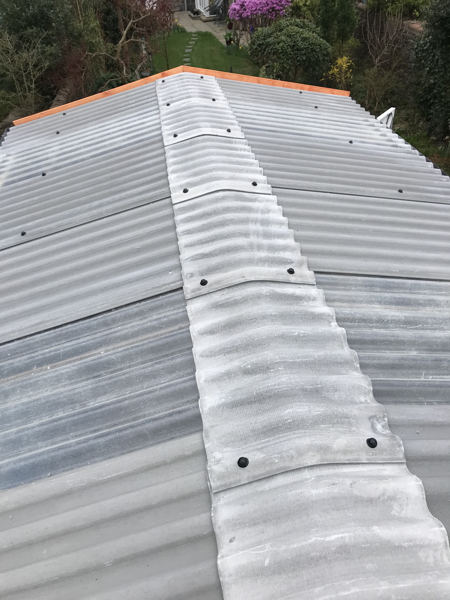 new apex garage roof